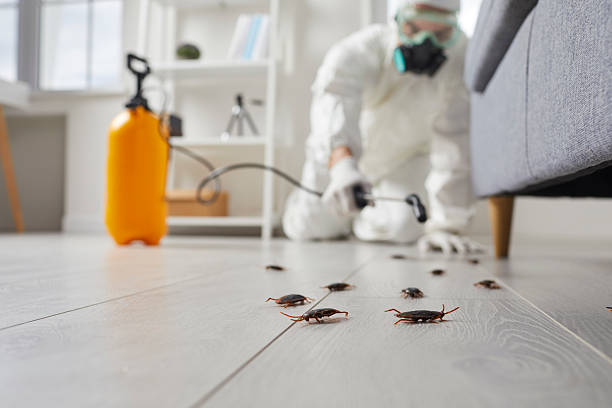 Commercial Kitchen Cockroach Control in Cary